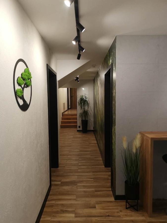 Apartament Skorusinka W Poblizu Chocholowskich Term วีตุฟ ภายนอก รูปภาพ