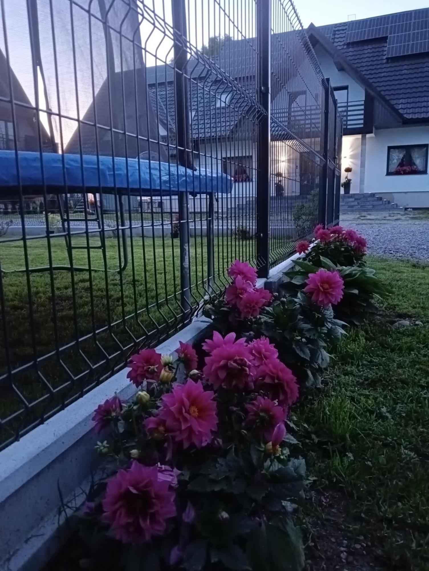 Apartament Skorusinka W Poblizu Chocholowskich Term วีตุฟ ภายนอก รูปภาพ
